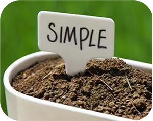 土壤污染检测解决方案