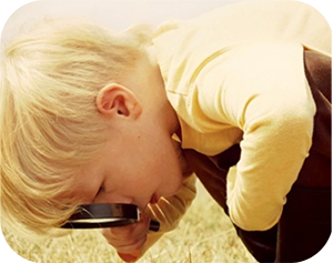 微观污染物分析解决方案